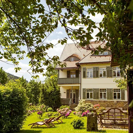 Elbufer Bad Schandau