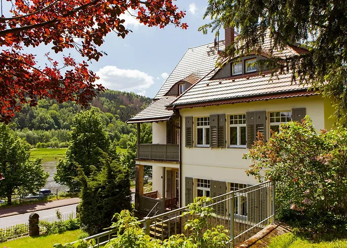 Elbufer Bad Schandau